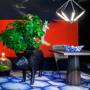 Pig 邊桌  Front  瑞典 設計師 荷蘭  moooi 小猪边几茶几