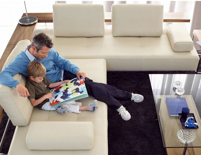 ROLFBENZ 沙发 Dono 6100 系列 地产样品房 家用商用家具设计