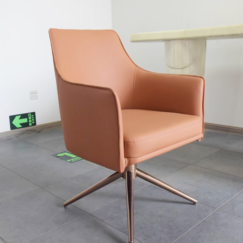 意大利设计师 波利弗姆斯坦福餐椅 电脑洽谈椅接待椅 家用办公室